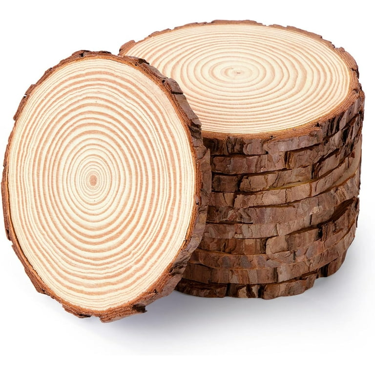 10Pcs 5.5-6 Inch Wood Slices, Unfinished Natural Craft Wooden Circles Tree  Slice for DIY Crafts Wedding Decorations Holidays Ornaments Arts Wood Slices  