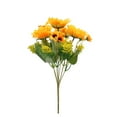 10Pcs 6 Types Flowers Outdoor Shrubs For Hanging Planter Home Wedding