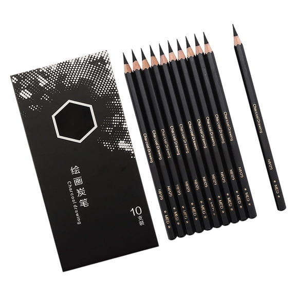 10Pcs Charcoal Pencils Set For Sketching Drawing Artists Art Supplies Sketch Pencil for Students Beginner