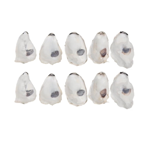 10Pcs Concave Oysters Shell Sea Shell for Crafts Natural Oysters Shell for DIY Crafting Christmas Ornament Beach Decors
