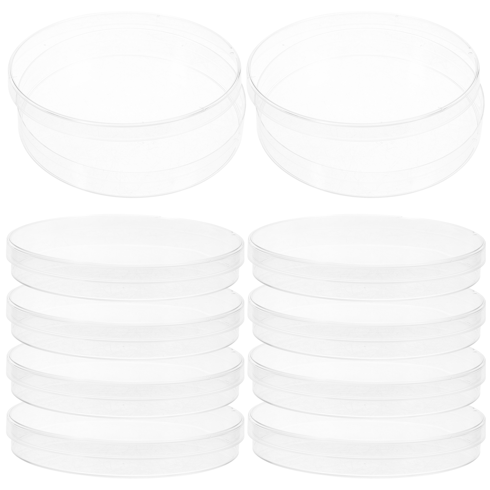 10Pcs Culture Dish Laboratory Culture Holder Chemistry Culture Holder