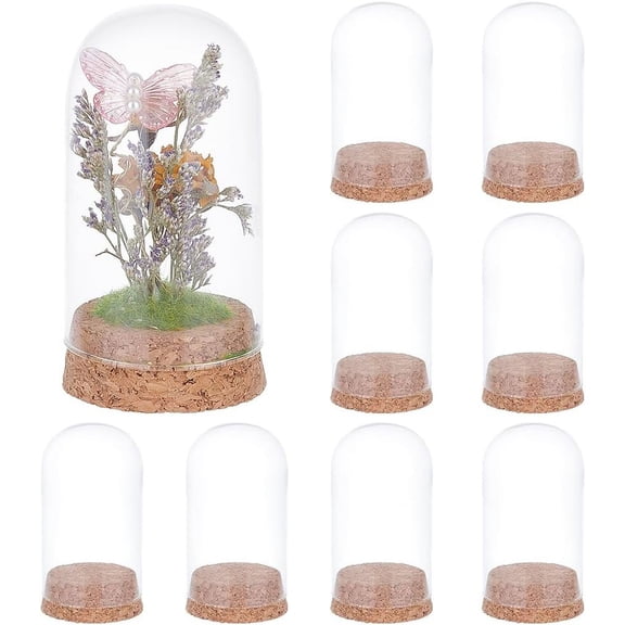 10Pcs Dome Decorative Jars 1.8x3.5inch Glass Display Dome Cloche Glass Bell Jar with Cork Base for DIY Flower Storage Specimens Crafts Decorations