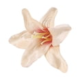 thumbnail image 1 of 10Pcs Fake Flower Head Vivid Decorative DIY Exquisite Bell Orchid Floral Head Wedding Supplies, 1 of 7
