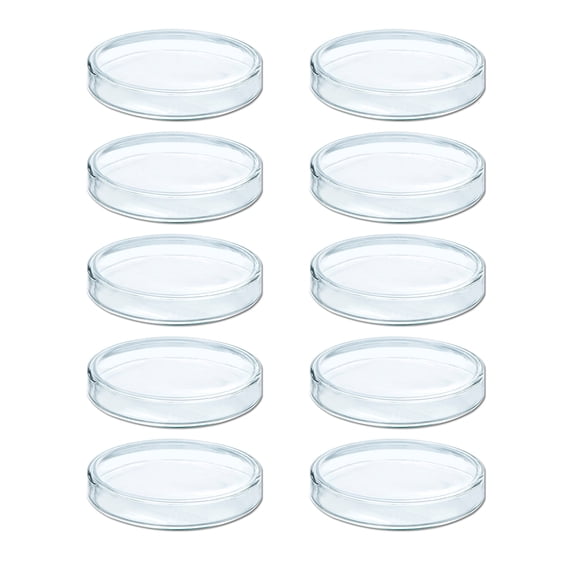 10Pcs Glass Culture Dishes Petri Dishes High Borosilicate for Cell Culture Bioresearch Sterile 60 75 90 100mm