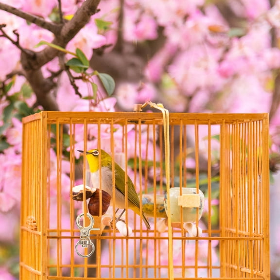 Bird Locks for Secure Birdcages and Feeders