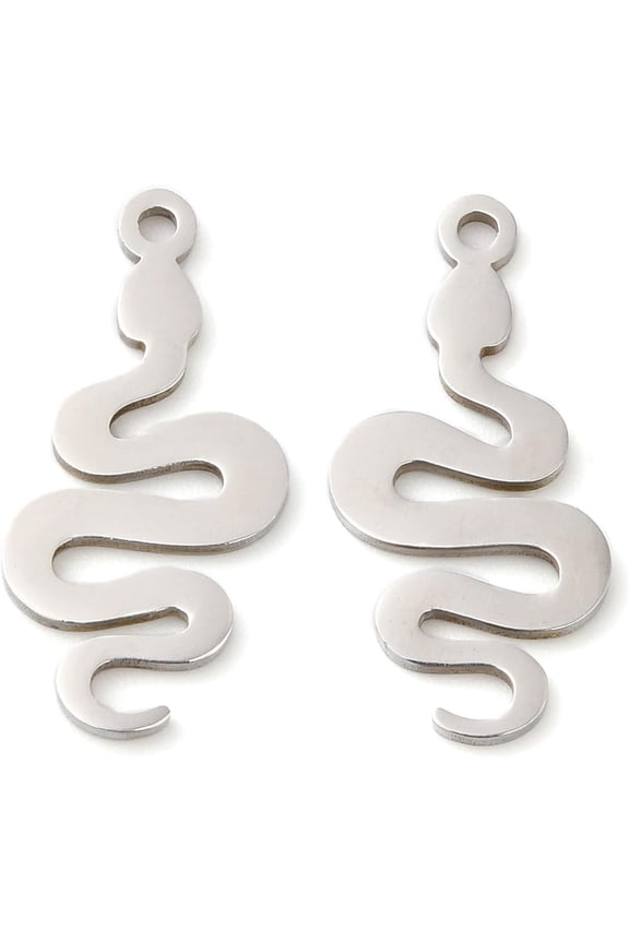 10Pcs Metal Charms Pendant 201 Stainless Steel Pendants Snake Charm Stainless Steel Color for Women DIY Necklace Bracelet Earring Jewelry Craft Making 21.5x10x1mm Hole: 1.4mm Silver DIY