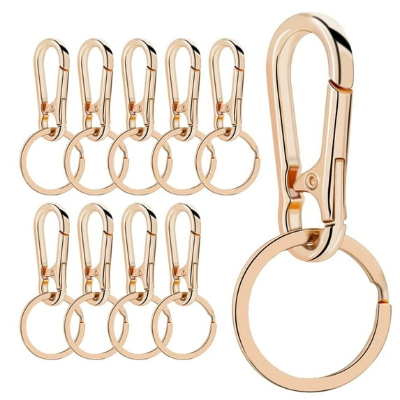 10Pcs Metal Keychains Keyring Key Chain Ring Clip Holder Organizer for Home Car Keys Key Finder Women Men