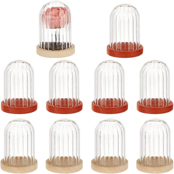 10Pcs Mini Glass Dome 1.5×1inch in Diameter Glass Display Dome Glass Cloche Dome Clear Glass Display Dome with 2 Colors Wood Base for Centerpieces Plants Rocks Specimens Decorations Crafts