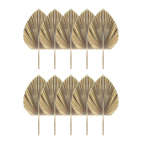 10Pcs Natural Dried Palm Leaves Tropical Dried Palm Fans Boho Dry Leaves Decor for Home Kitchen Wedding