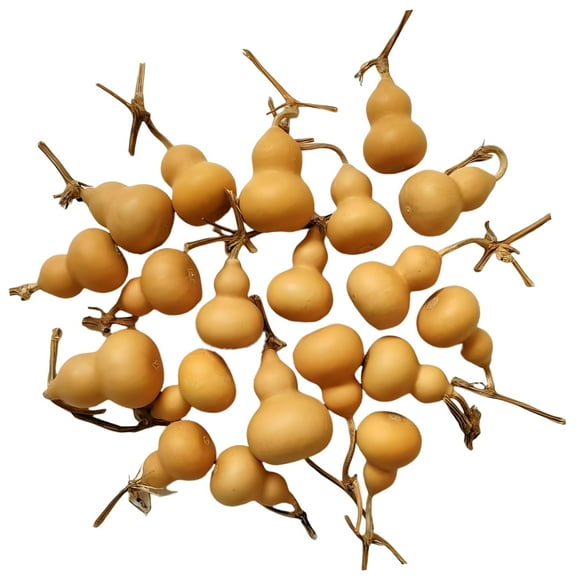 10Pcs Natural Dry Bottle Cute Dried Gourd Ornament Adornment Decorative Practical Desktop Decor Original DIY Crafts(4-7cm)