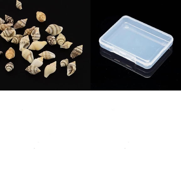 10Pcs Natural Spiral Shell Beads No Hole Shell Shape Lemon Chiffon 7~12x3~7x3~7mm