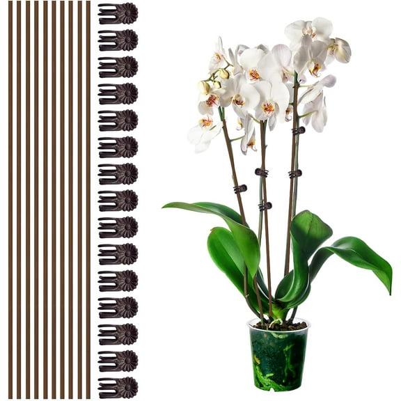 10Pcs Plant Support Stakes with 15Pcs Plant Clips, 15.75inch Tall Bendable Single Stem Sticks Orchid Clips Brown Helps Growth for Indoor Outdoor Flowers Rose Amaryllis