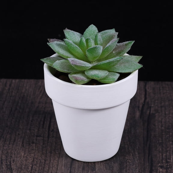 10Pcs Pot White Small Terracotta Pots Small Pots Flower Planter Pot Clays Planter Pots Container Gardening Pots Desktop Decor