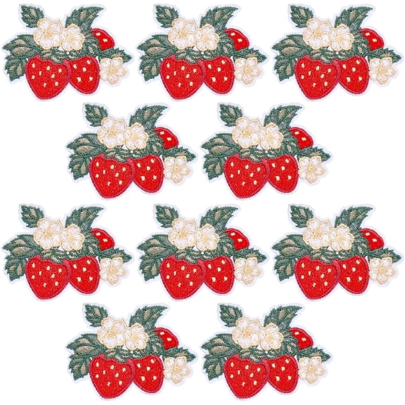 10Pcs Red Strawberry Patches Fruit Blossom Embroidered Iron on Sew on Patch Decorative Applique Badge Embellishments
