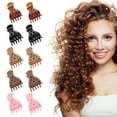 thumbnail image 1 of 10Pcs Root Lifting Hair Clips for Thick & Thin Hair, Roller Jaw Volume Curly Hair Claw, No Crease Hair Root Lifting Clips for Natural Volume Curls, 1 of 5