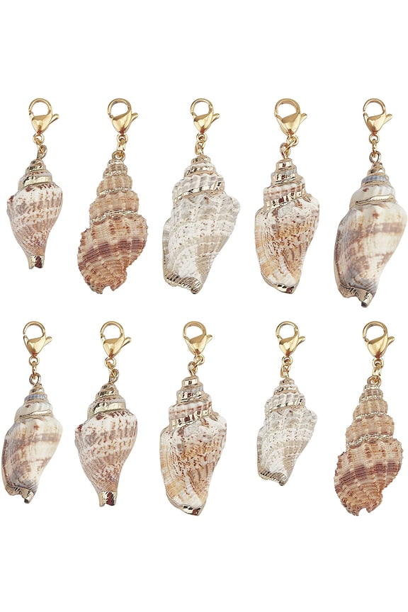 10Pcs Seashell Charms Oval Ocean Beach Spiral Natural Cowrie Conch Shells Large Charm Pendants with Lobster Claw Clasps