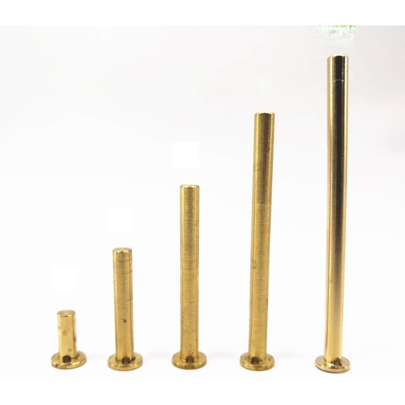 10Pcs/ Set Copper Nail Brass Plug Golf Weight Weights for.335.355.370 Tip Steel Shaft 2g 4g 6g 8g 10g Club Head Kits (2g,4g,6g,8g,10g,X2)