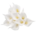 thumbnail image 1 of 10Pcs/Set Fake Flower Decor Real Touch Simulated Faux Leather Long Stem Bridal Artificial Calla Lily Flower for Wedding, 1 of 7