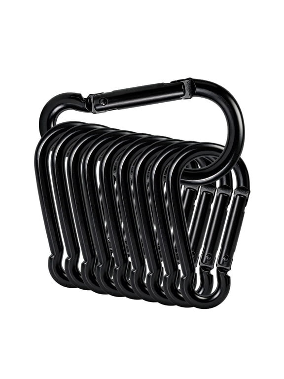 10 Count Aluminum Carabiners Clip,Keychain with Spring-Loaded Gate for Camping Backpacking Hiking Outdoor Activities Pet Leash Keychain Multipurpose Bluk