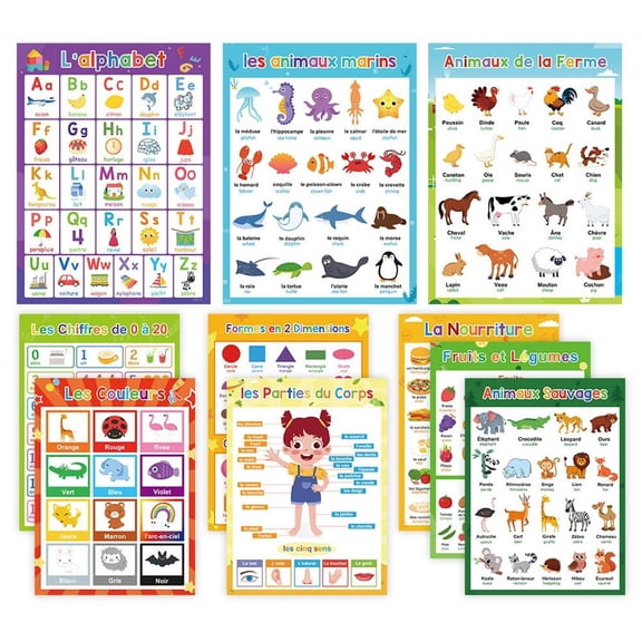10Pcs Thematic Word Learning Posters Charts 11.22x8.26Inch Laminated Vocabulary Posters For Classroom And Homeschooling