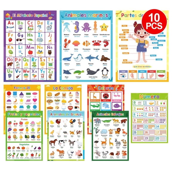10Pcs Thematic Word Learning Posters Charts 11.22x8.26Inch Laminated Vocabulary Posters For Classroom And Homeschooling