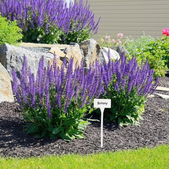 10Pcs White Plastic Plant Garden Labels Durable Writable Tags for Outdoor Plant Tracking