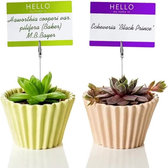 10Pcs Wooden Cube Base Memo Clip Holders with Alligator Clip, Lightweight Photo, Place Card, Menu & Note Holder Stand for Table Number, Name Card, Wedding, Party