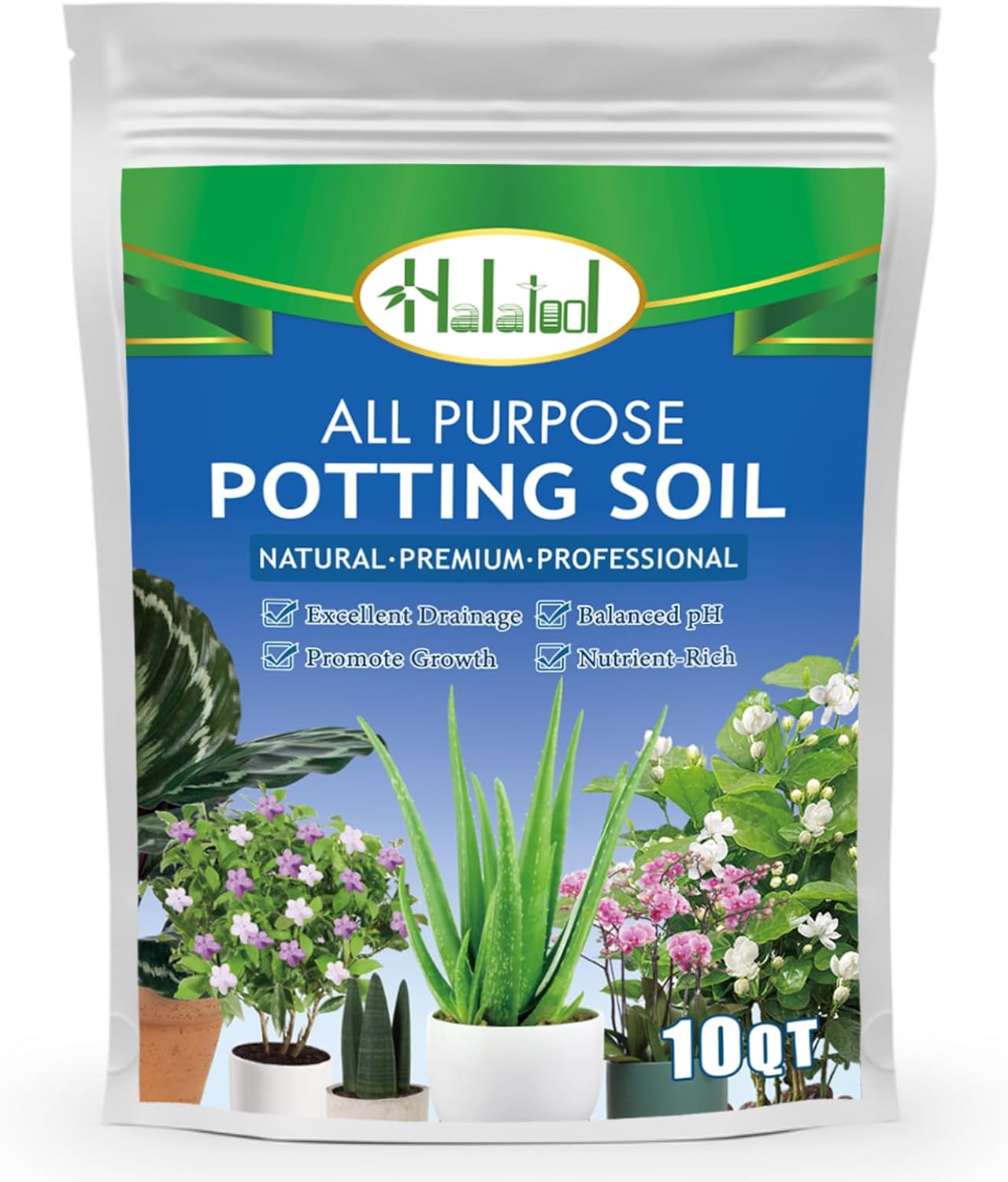 10QT Indoor Potting Soil for Plants Orchid Potting Mix Garden Top Succulent Bonsai Soil for Aloe Vera Houseplants Flowers Vegetables & Herbs