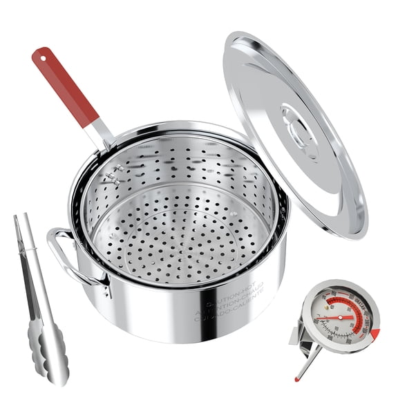 10QT Stainless Fish Fryer Pot | with Lid & Tong | Deep Fryer with Basket | Indoor & Outdoor Cooking | All-Round Protection | Perfect For Boiling & Frying