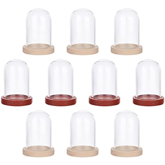 10 Sets Mini Eternal Flower Glass Dome Cloche Clear Glass Display Case with 2 Colors Wooden Base Bell Jar Cloche for Centerpieces Plants Rocks Specimens Decorations Crafts .6x1