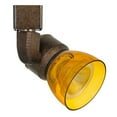 thumbnail image 1 of 10W Integrated LED Track Fixture with Polycarbonate Head, Bronze and Yellow- Saltoro Sherpi, 1 of 5