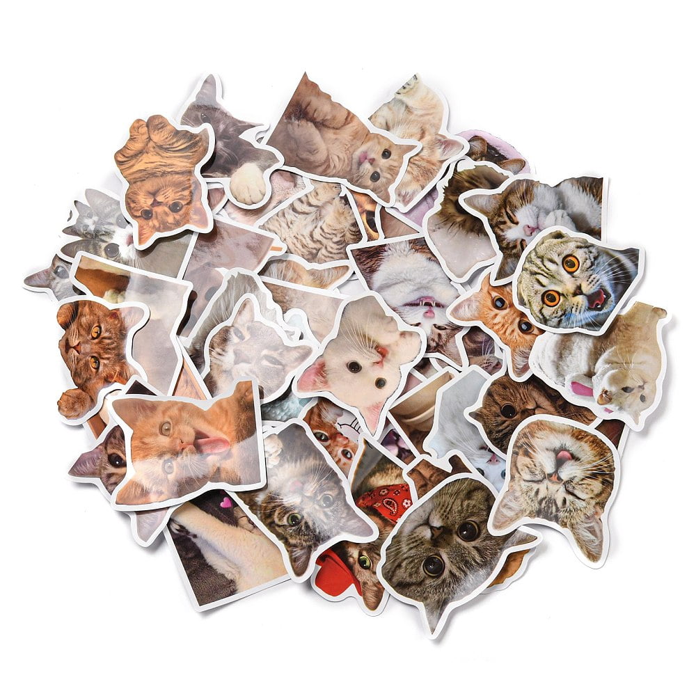 10bags 50 Sheets Paper Cat Stickers Mixed color 32~61x40~60x0.2mm 50 sheets/bag
