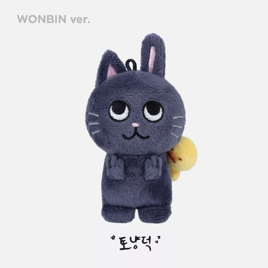 新品未開封！RIIZE 10cmドール KEYRING ウォンビン トニャンドク 10cm Kpop Idol RIIZE Plush Doll Keyring Stuffed Animal Dolls Bag