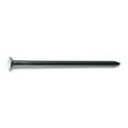 thumbnail image 1 of 10d 3" Bright Steel Smooth Shank Common Flat Head Nails (85 pcs.), 1 of 1