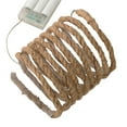 thumbnail image 1 of 10ft. LED Rope String Lights by Ashland, 1 of 2