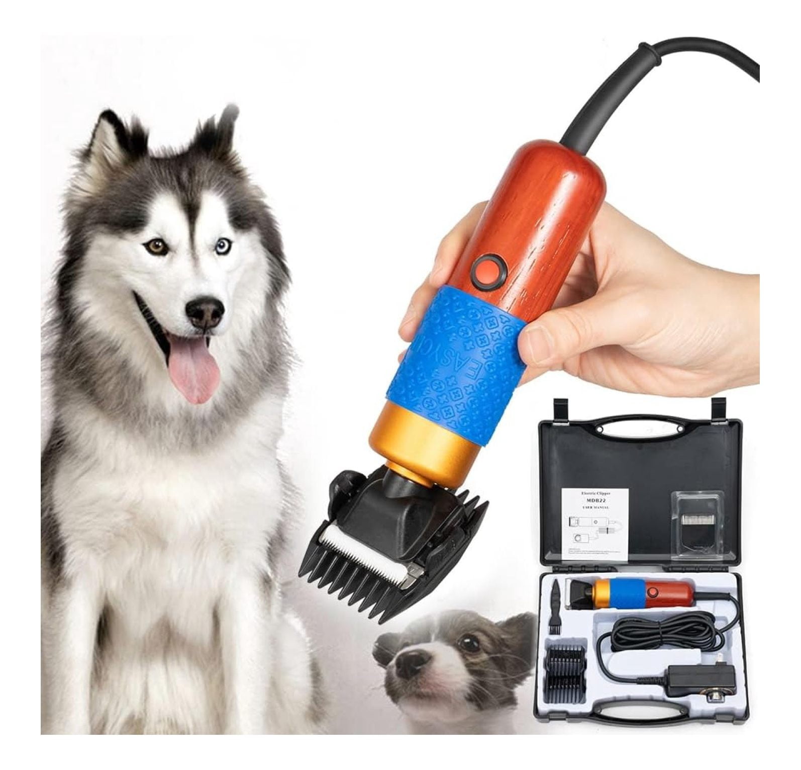 Can You Use Sheep Shears on Dogs: Expert Tips & Safety Guide