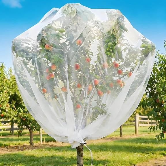10ftx10ft Large Fruit Tree Netting Bags, Bird Netting for Blueberry Bushes Keep Birds Squirrels Cicadas and Small Animals Out, Ideal Covers for Cherry Fig Peach Apple Trees