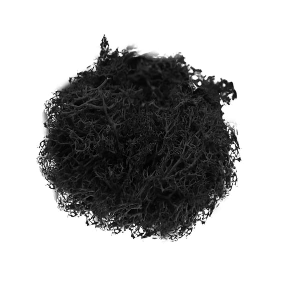 10g Artificial Fake Craft Moss,Natural Look Faux Moss Alternative for Indoor Plants,Real Touch Moss for Potted Plant Fairy Garden Vase Filler Terrarium Centerpieces Forest Style Decor,Black