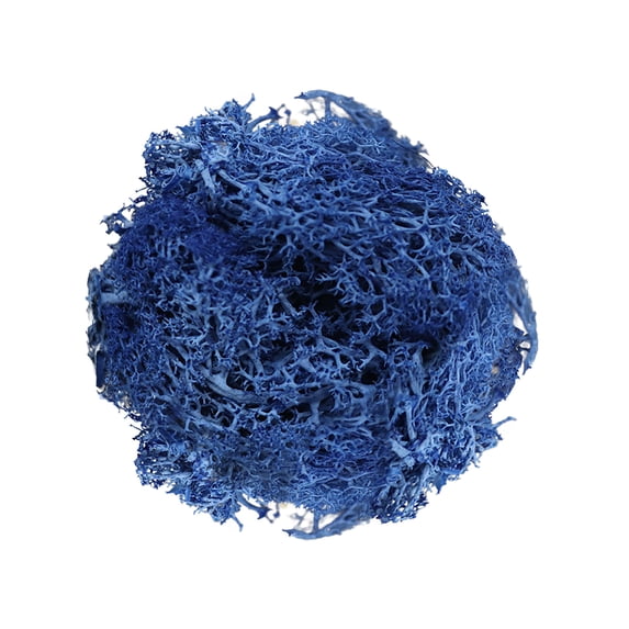 10g Artificial Fake Craft Moss,Natural Look Faux Moss Alternative for Indoor Plants,Real Touch Moss for Potted Plant Fairy Garden Vase Filler Terrarium Centerpieces Forest Style Decor,Blue