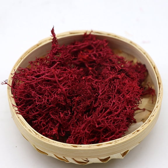 10g Pack Red Preserved Moss - Natural Immortal Dry Moss for Artificial Plants, Floral Arrangements, Wedding & Garden Crafts (Green)