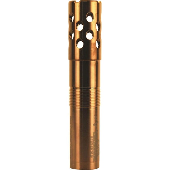 10ga Browning Invector Code Black Goose