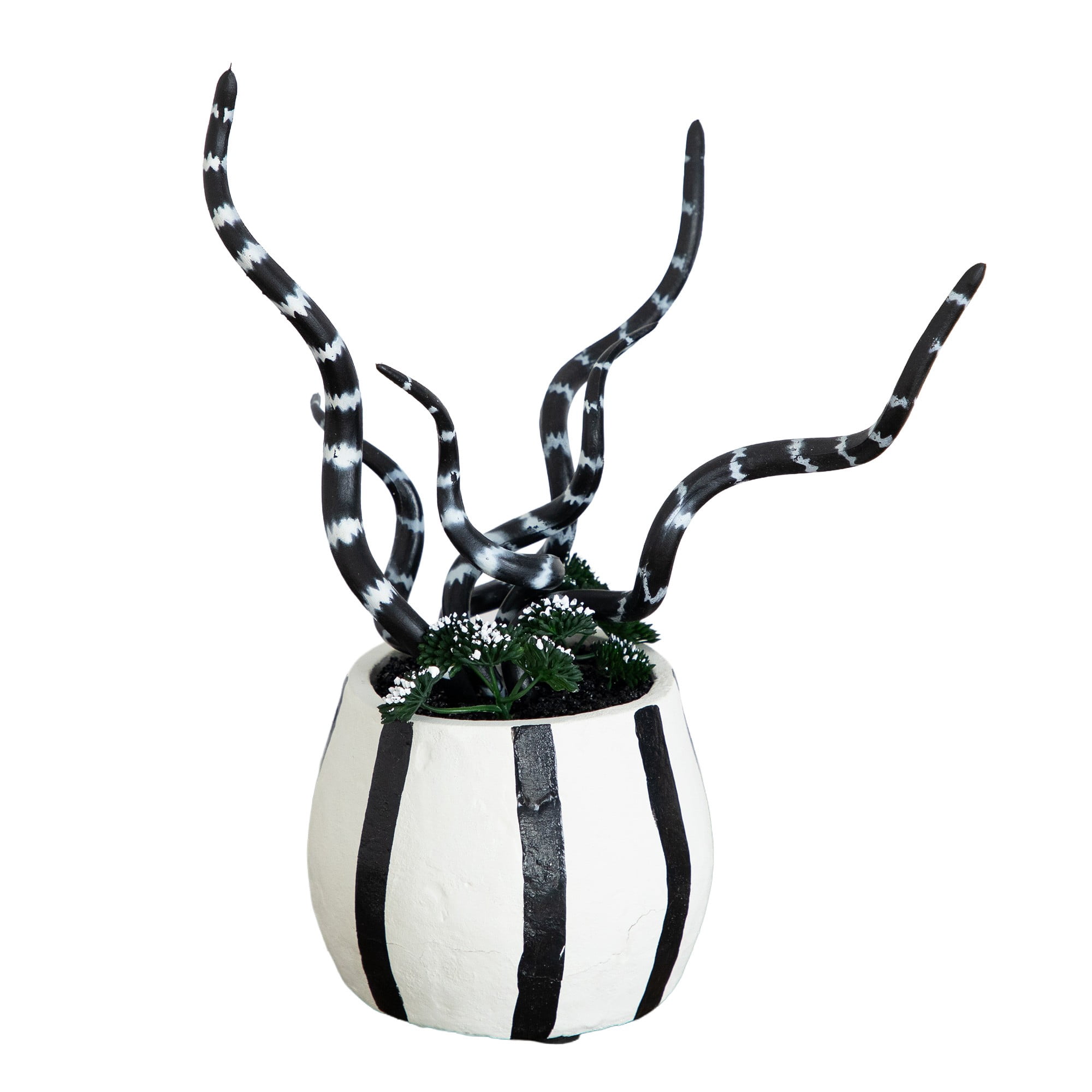 10in. Artificial Halloween Midnight Stripe Snake Plant in Decorative Planter