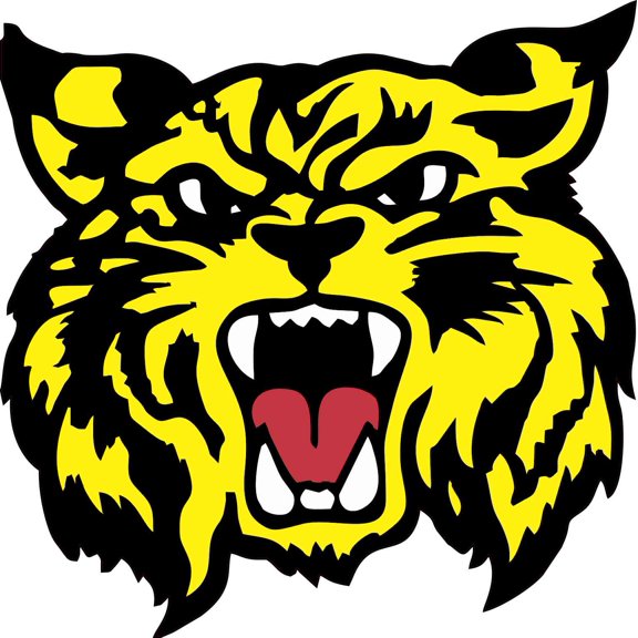 10in x 10in Yellow Wildcat Sticker