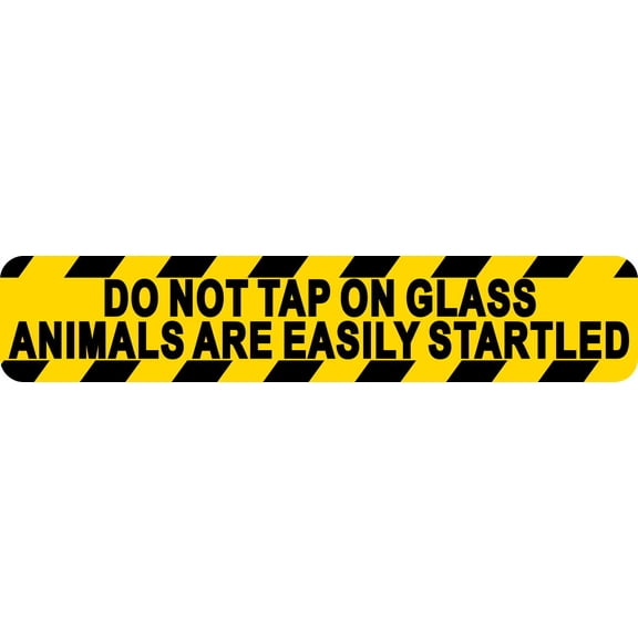 10in x 2in Do Not Tap On Glass Sticker Vinyl Stickers Decal Sign Decals