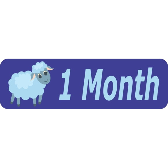 10in x 3in 1 Month Magnet Boy Door Magnetic Sign Magnets Signs