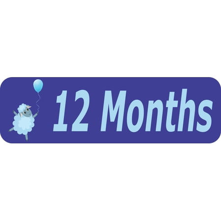 10in x 3in 12 Month Magnet Boy Door Magnetic Sign Magnets Signs