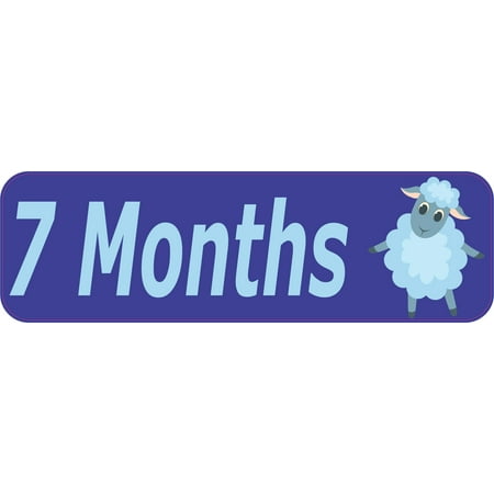 10in x 3in 7 Month Sticker Baby Boy First Year Vinyl Window Decal Stickers