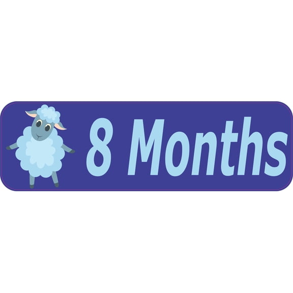 10in x 3in 8 Month Magnet Boy Door Magnetic Sign Magnets Signs