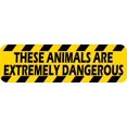 thumbnail image 1 of 10in x 3in Animals Are Extremely Dangerous Magnet, 1 of 2