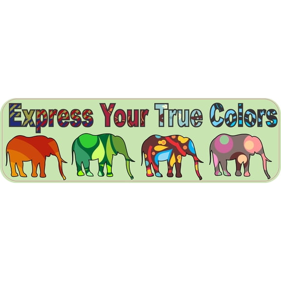 10in x 3in Express True Colors Bumper magnet Elephant magnetic